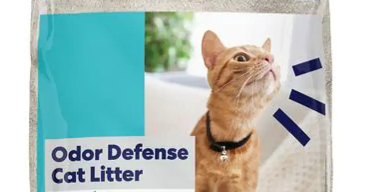 Frisco budget clumping clay litter bag on a plain background, on the cost page