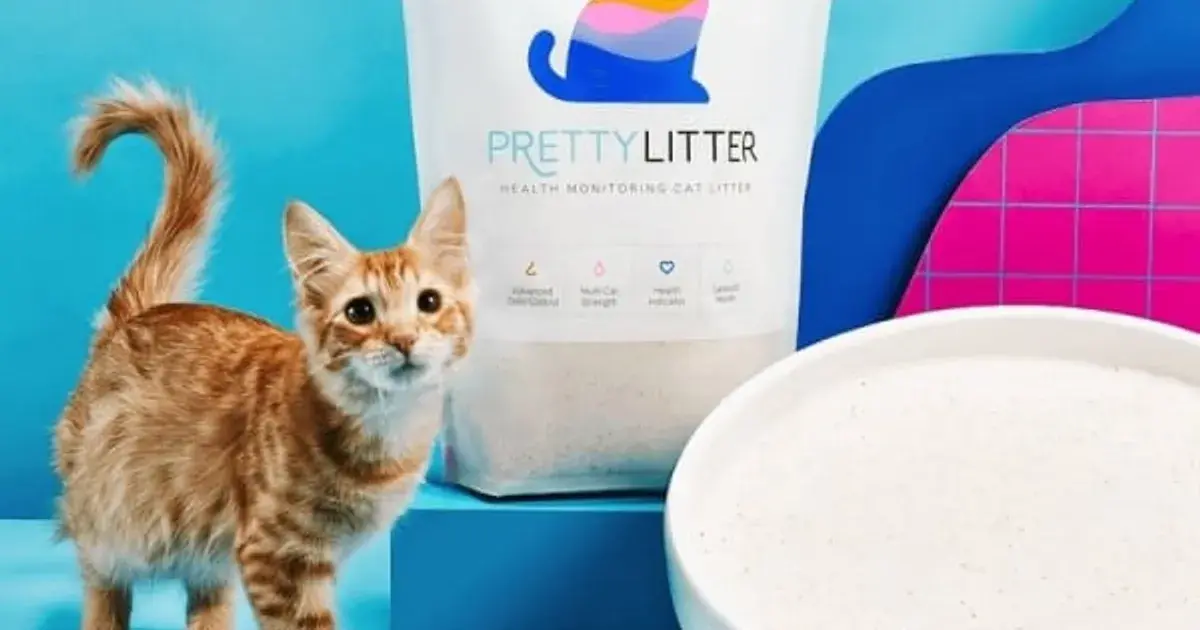 PrettyLitter silica crystal litter bag on a plain background, on the brand page