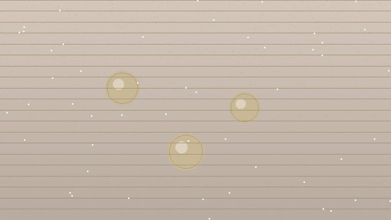 Fresh litter box after 14 days with Purrify